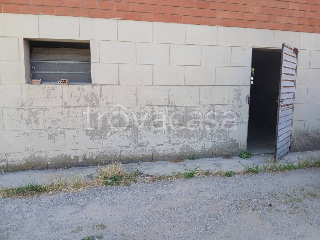 immagine annuncio 8 di 12