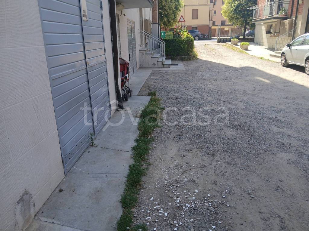 immagine annuncio 5 di 12