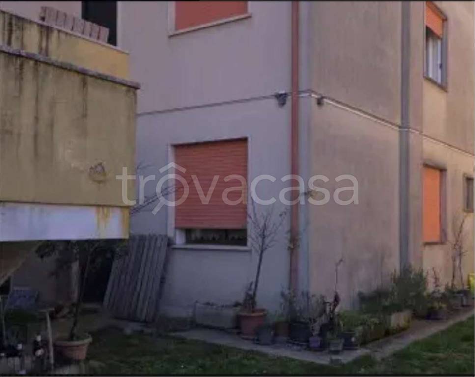 immagine annuncio 4 di 14