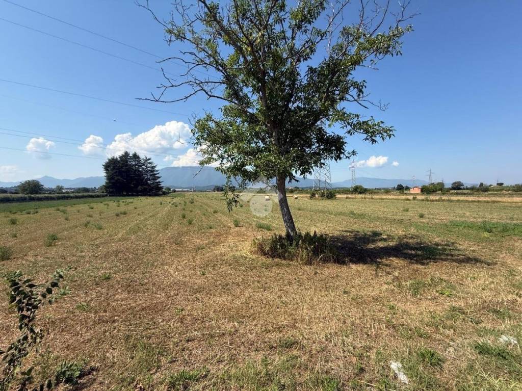 immagine annuncio 6 di 7