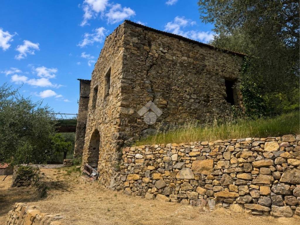immagine annuncio 1 di 13