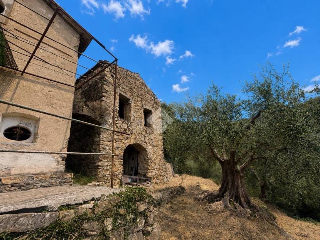 immagine annuncio 12 di 13