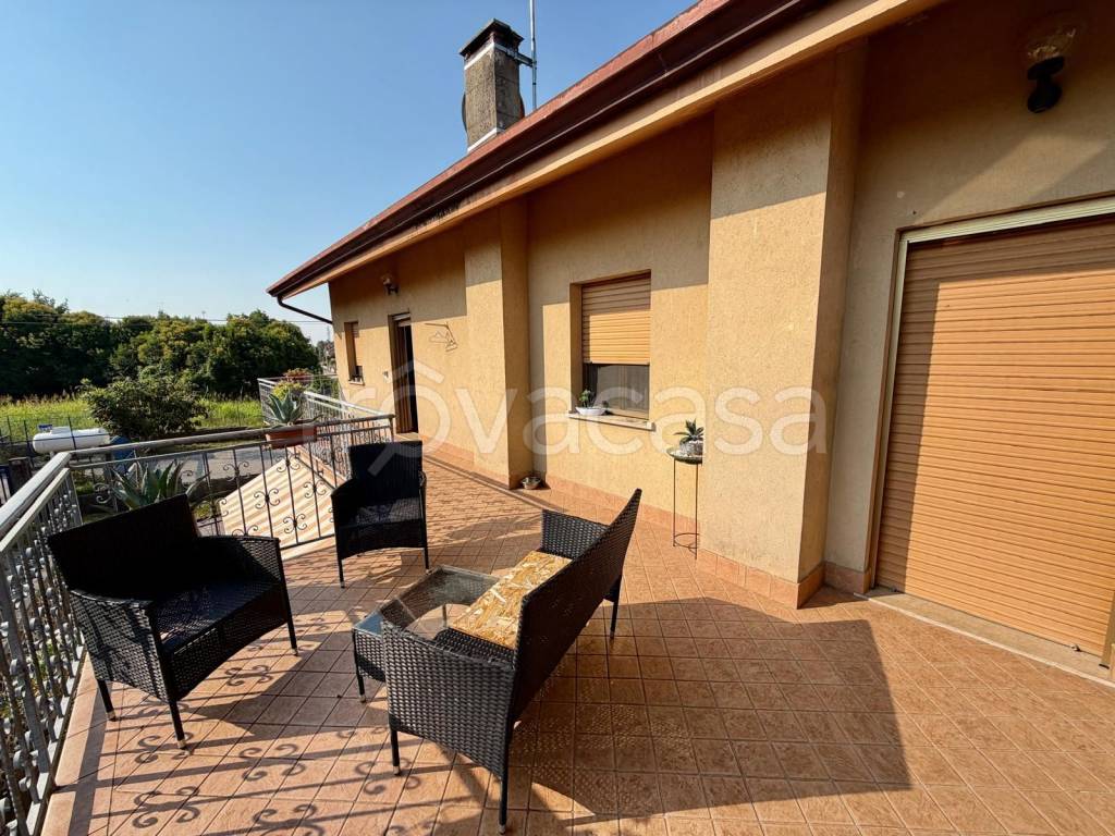 immagine annuncio 11 di 14