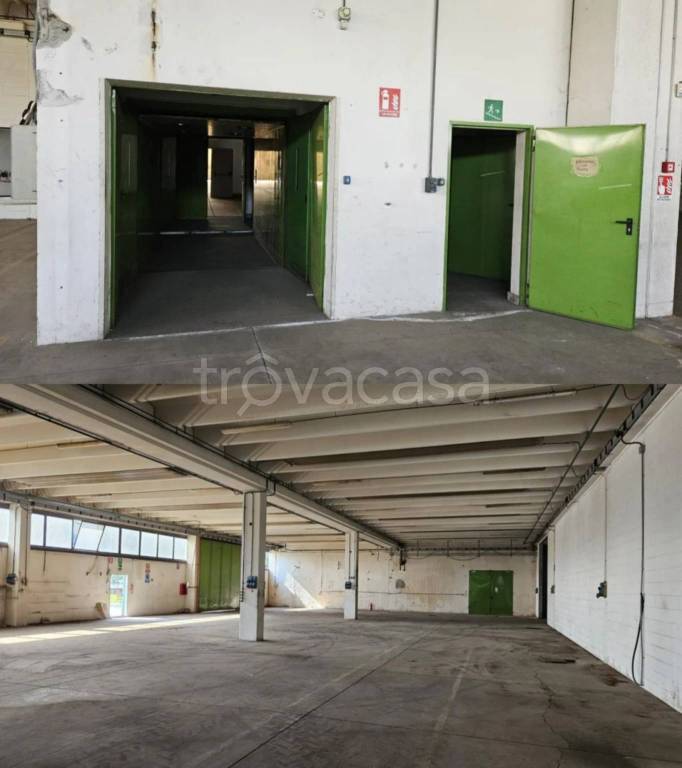 immagine annuncio 4 di 9