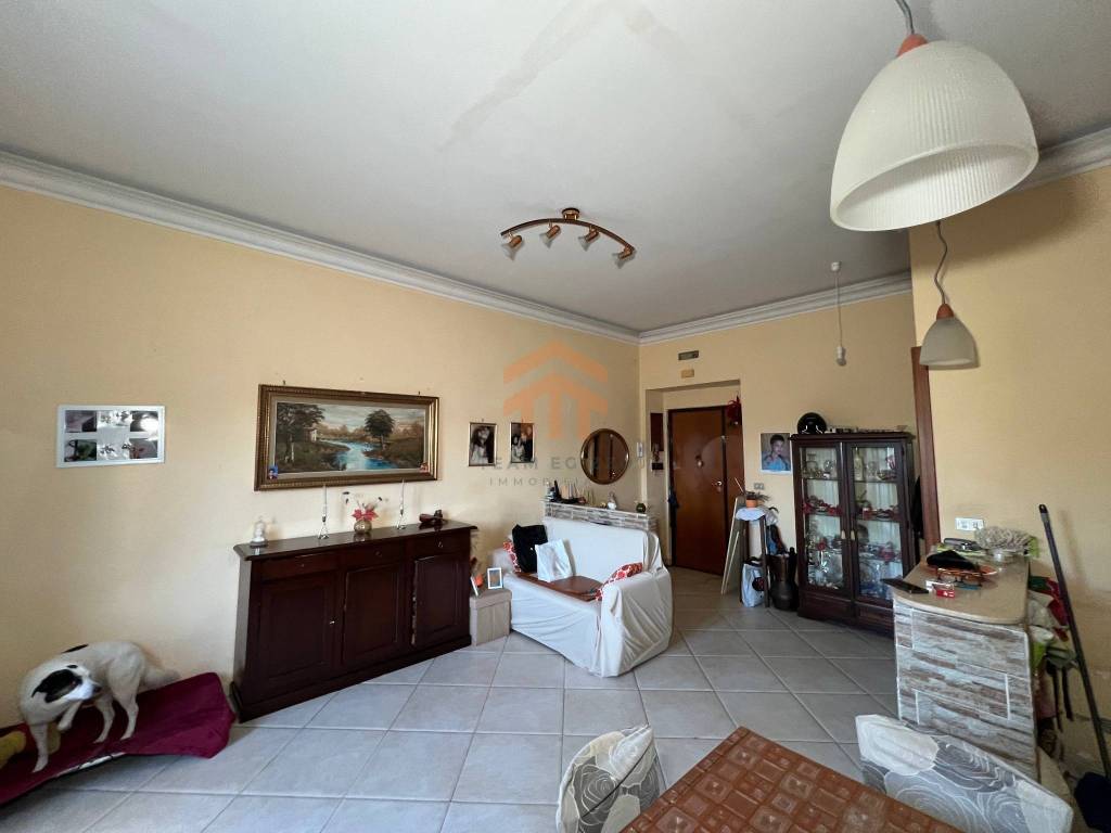 immagine annuncio 2 di 14