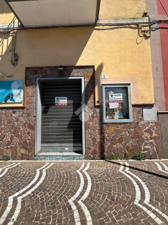 immagine annuncio 4 di 14