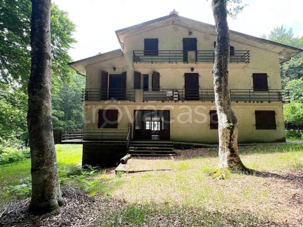 immagine annuncio 12 di 14