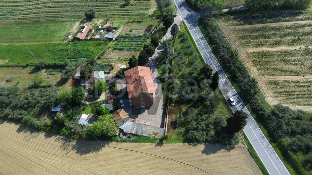immagine annuncio 9 di 13