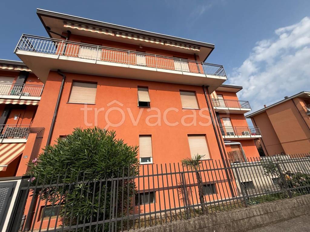 immagine annuncio 11 di 15