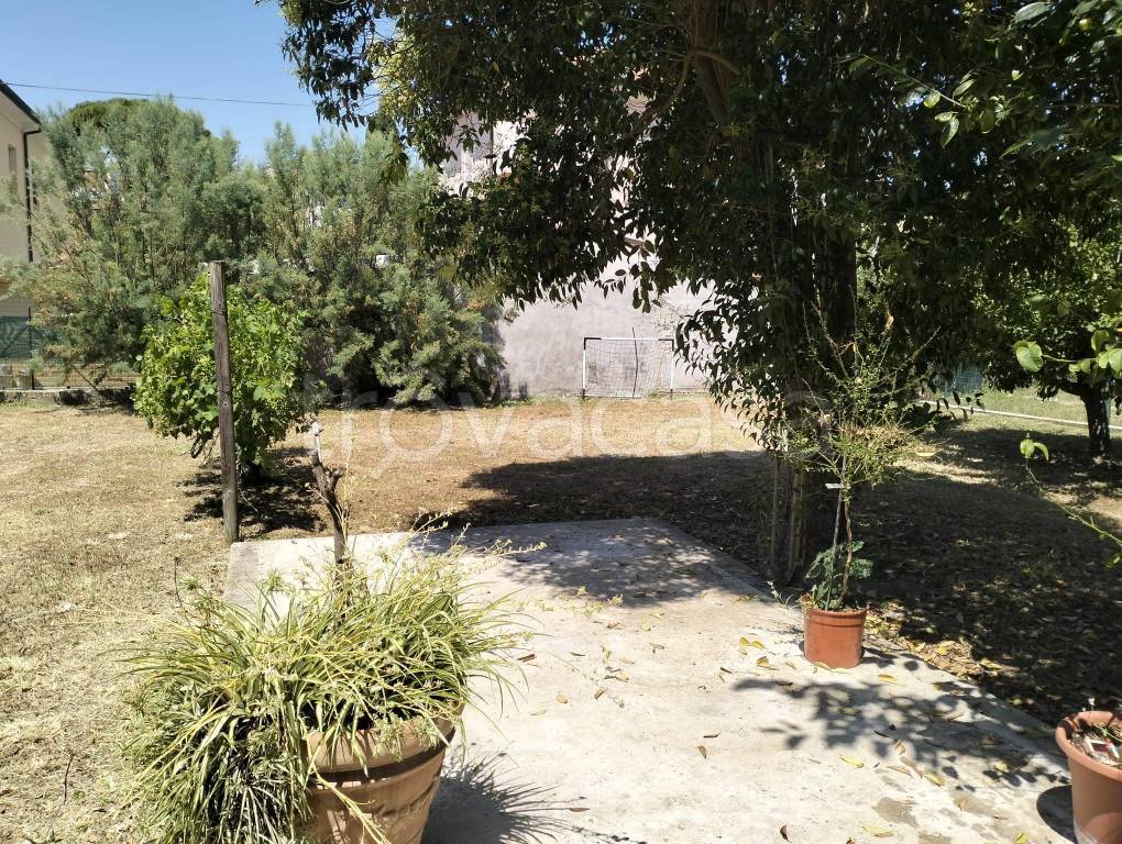 immagine annuncio 6 di 9
