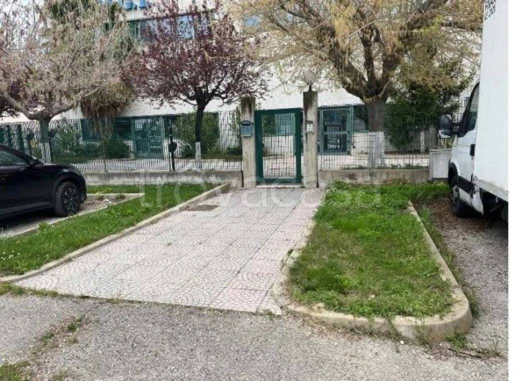 immagine annuncio 8 di 15