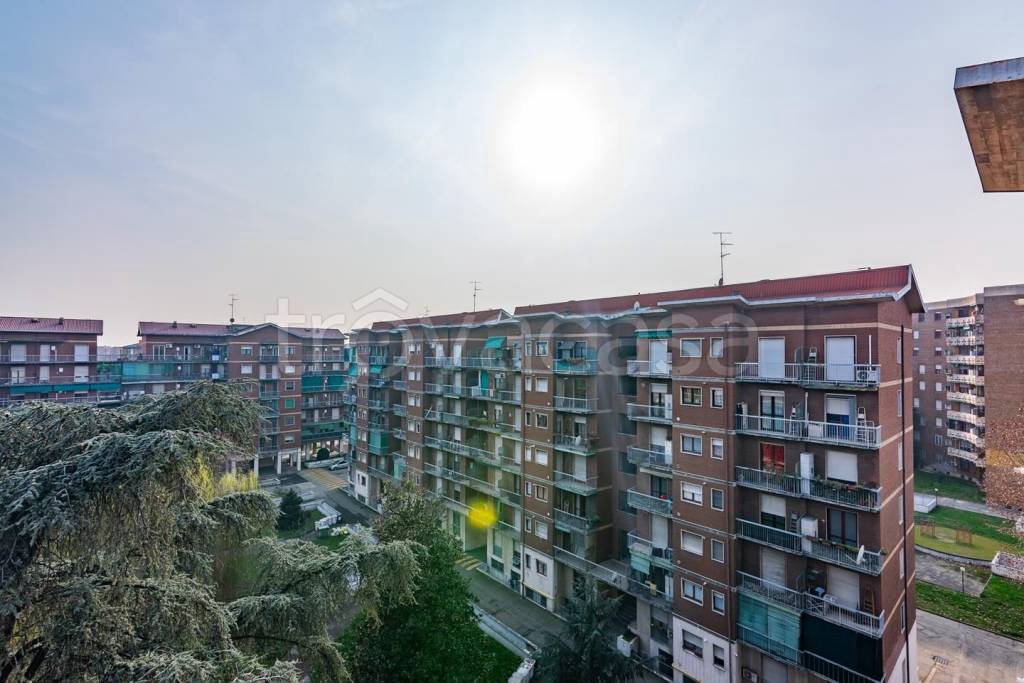 immagine annuncio 9 di 11
