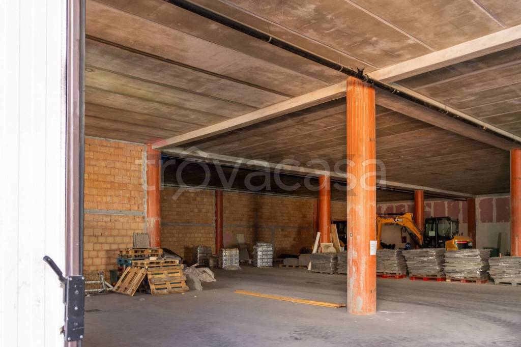 immagine annuncio 6 di 11