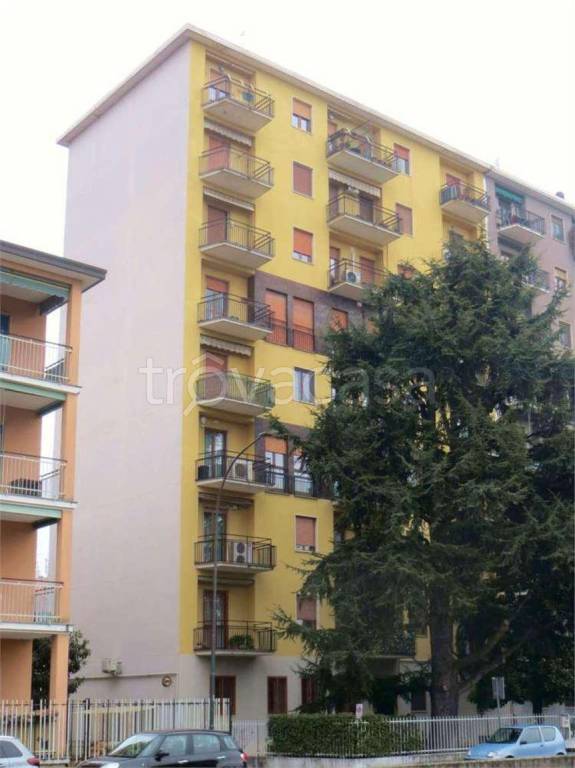immagine annuncio 4 di 14