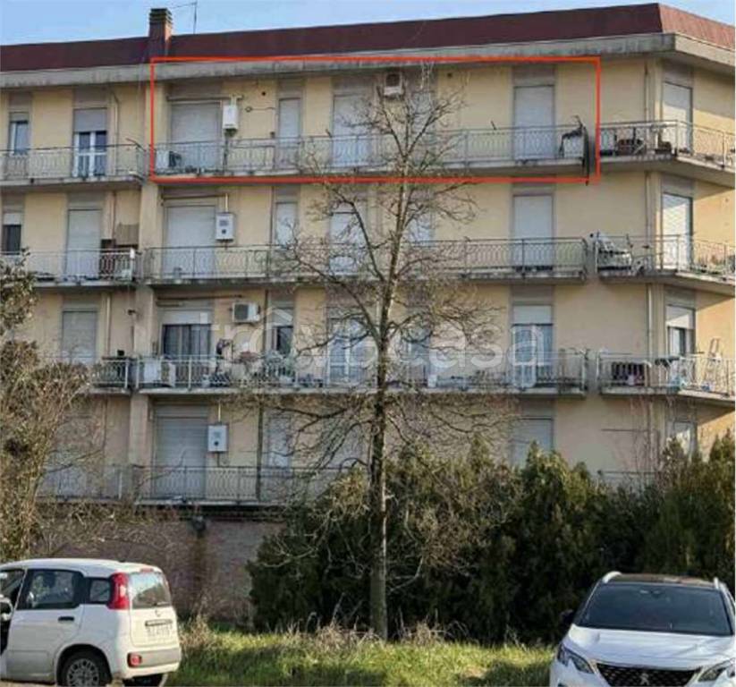 immagine annuncio 1 di 14