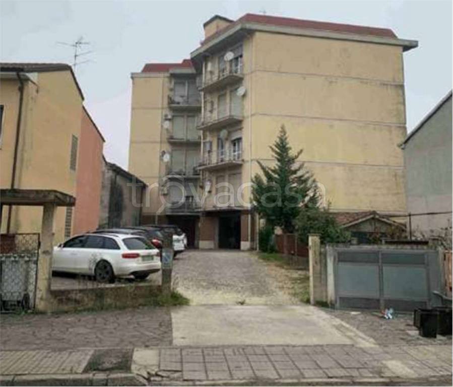 immagine annuncio 5 di 14