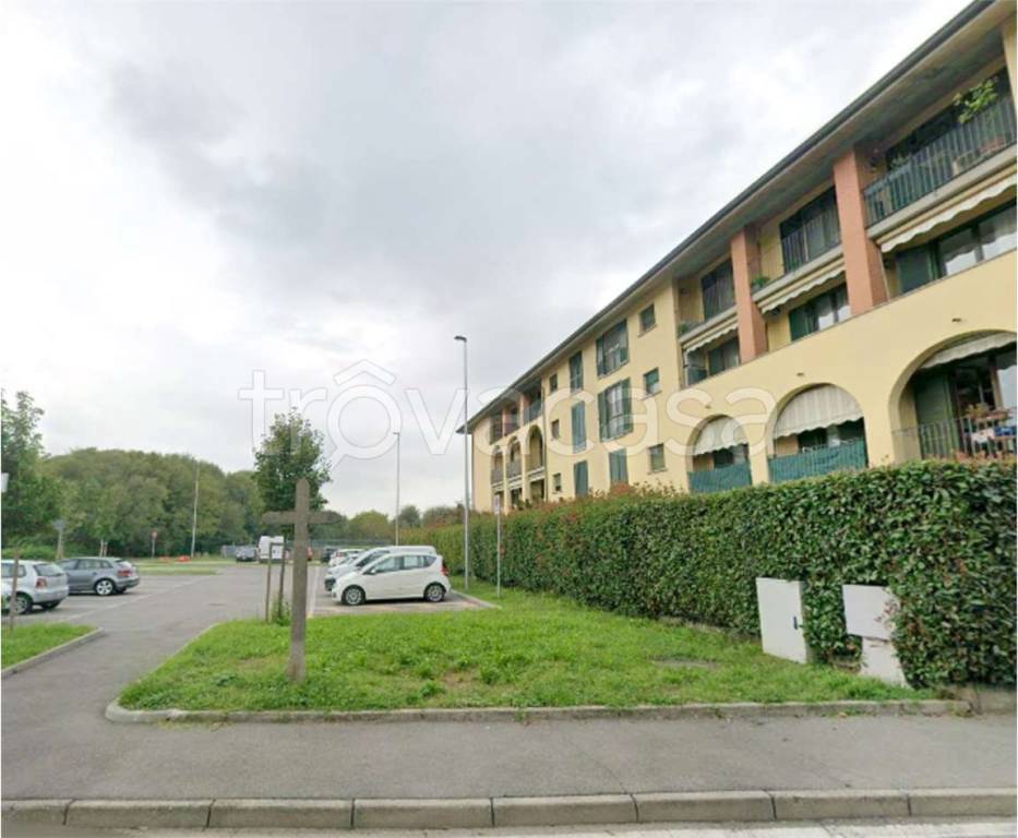 immagine annuncio 9 di 14