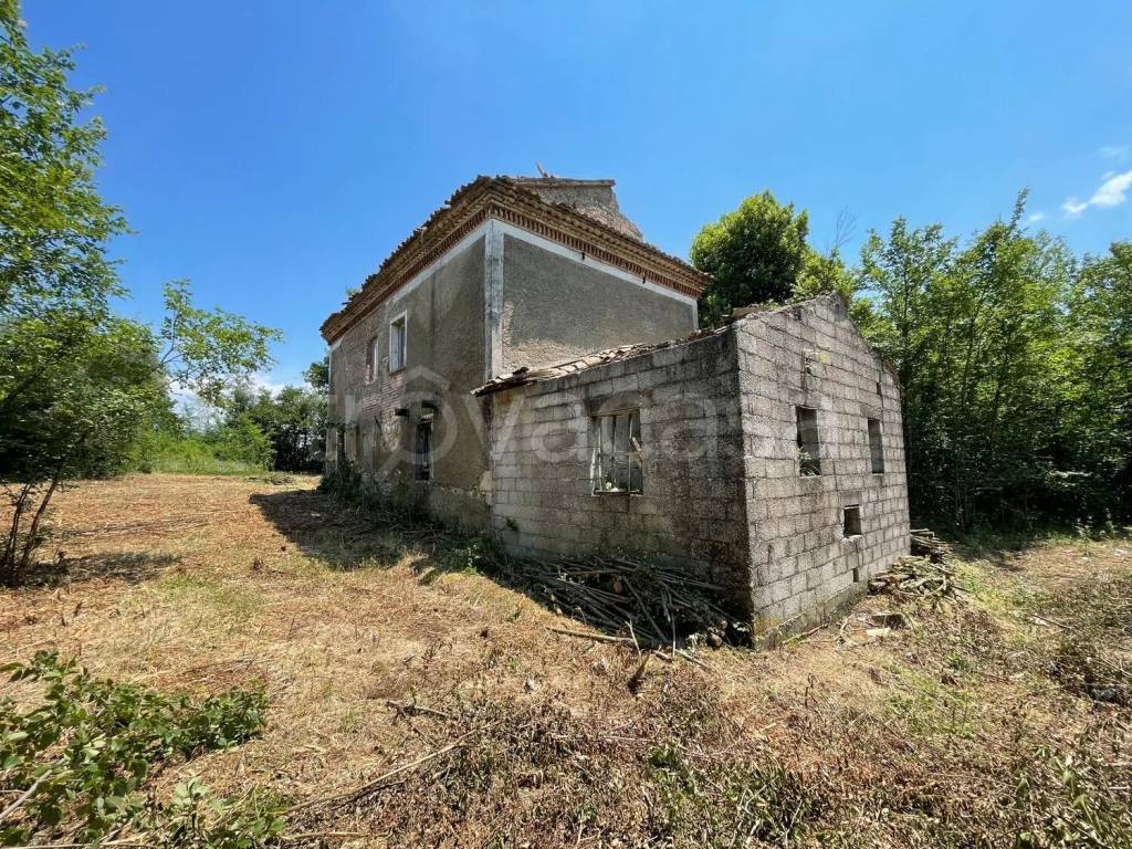 immagine annuncio 3 di 14