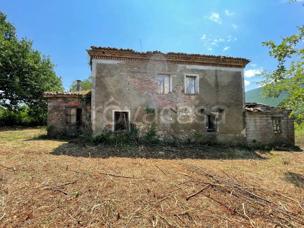 immagine annuncio 5 di 14