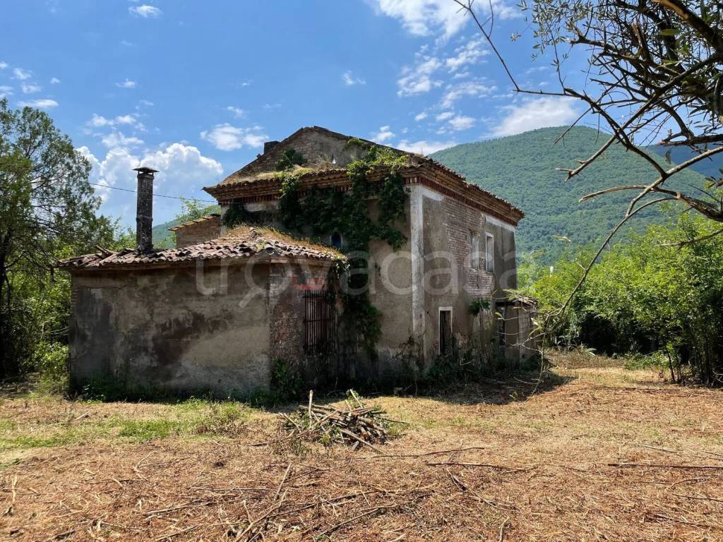 immagine annuncio 6 di 14