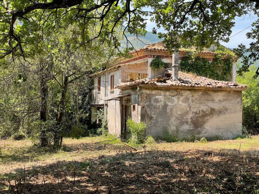 immagine annuncio 7 di 14