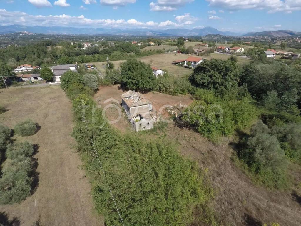 immagine annuncio 9 di 14