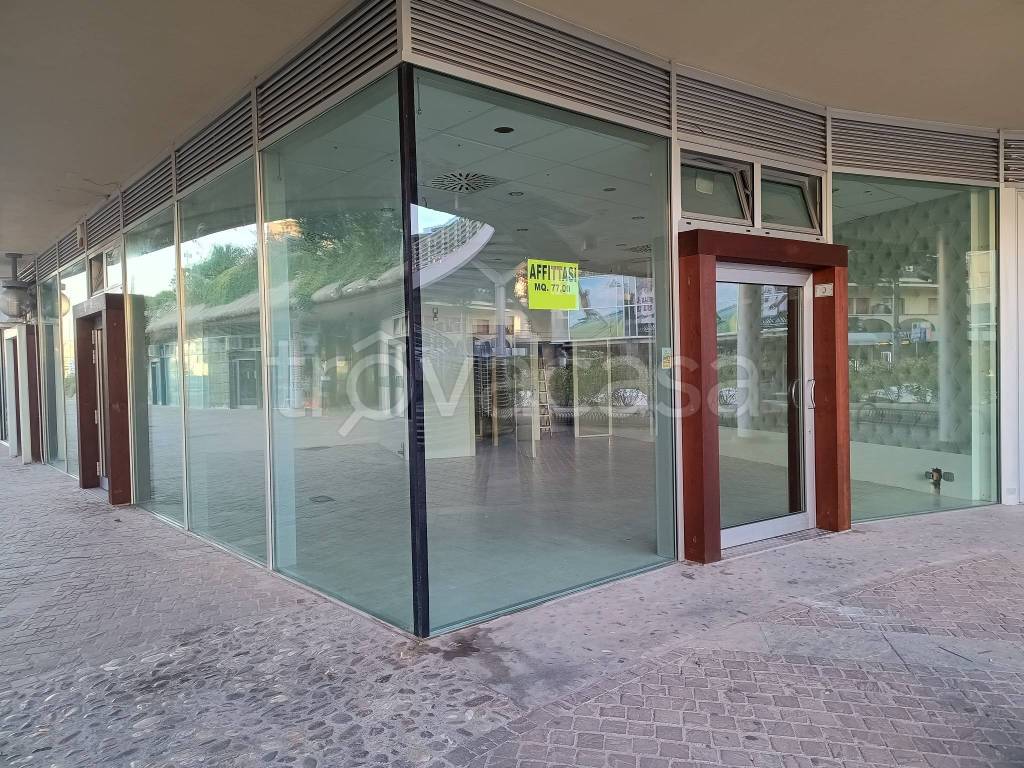 immagine annuncio 9 di 11