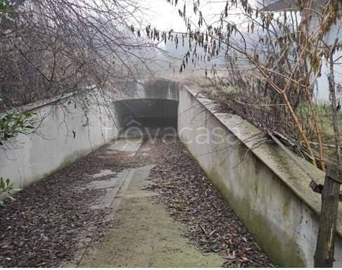 immagine annuncio 2 di 4