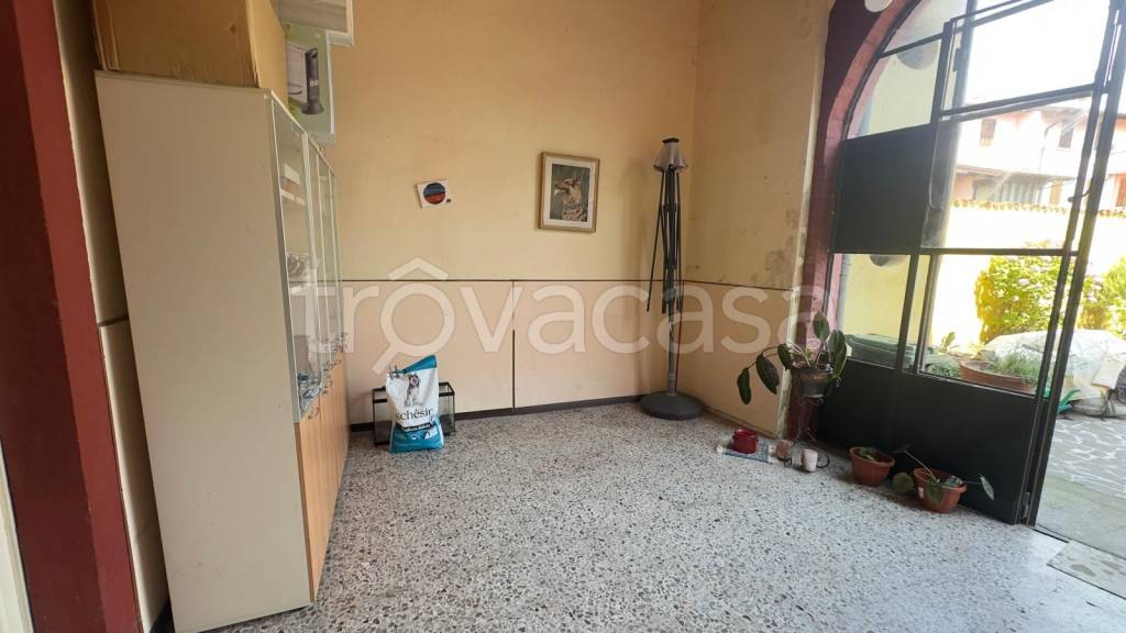 immagine annuncio 6 di 13