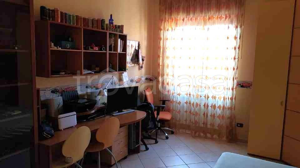 immagine annuncio 9 di 14
