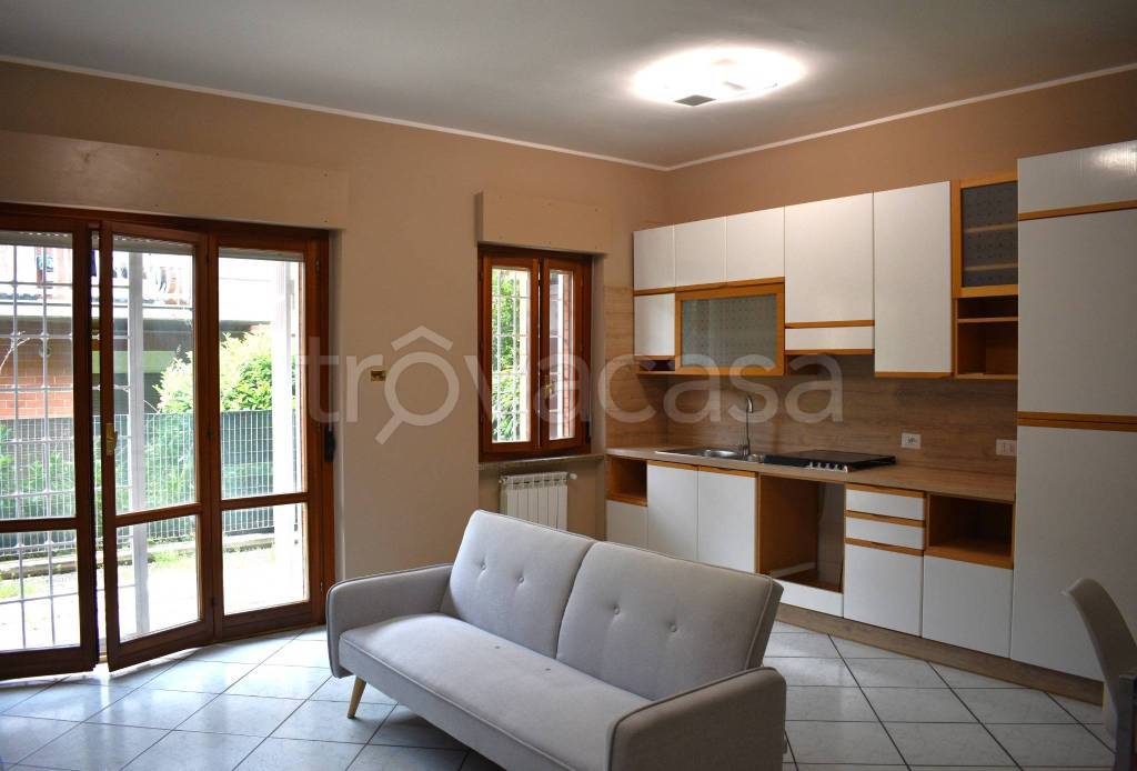 immagine annuncio 3 di 15