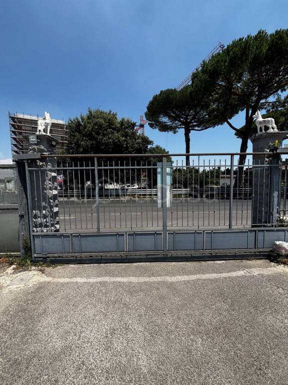 immagine annuncio 2 di 8