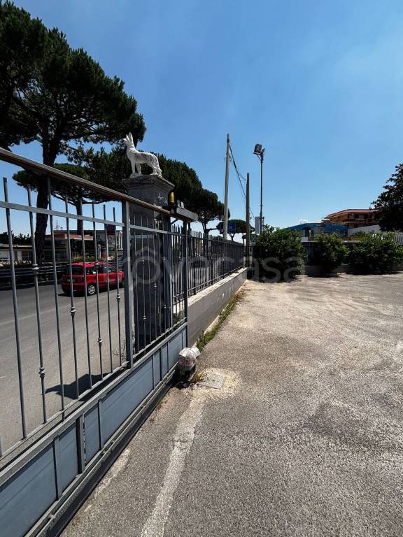 immagine annuncio 3 di 8