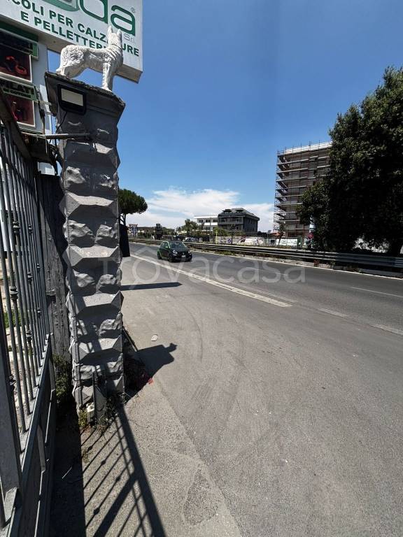 immagine annuncio 6 di 8