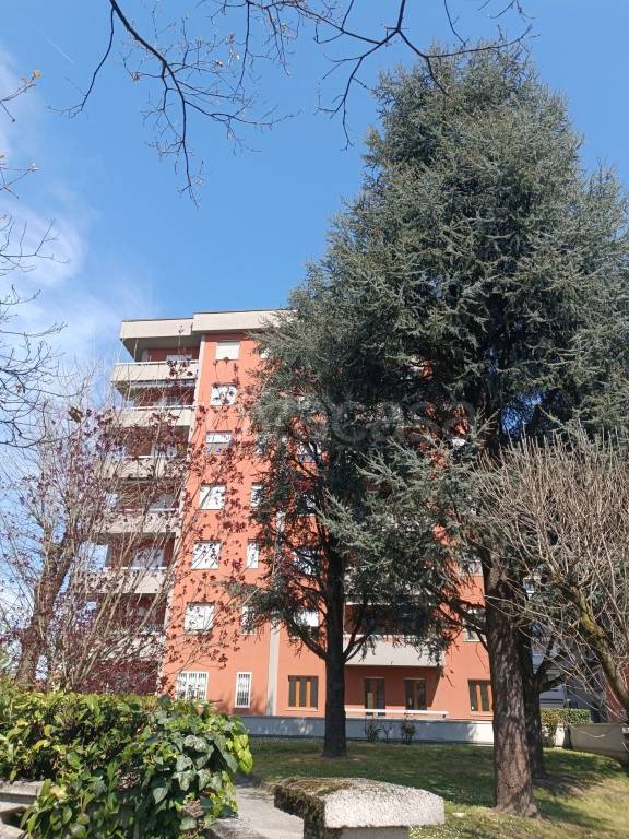 immagine annuncio 13 di 15