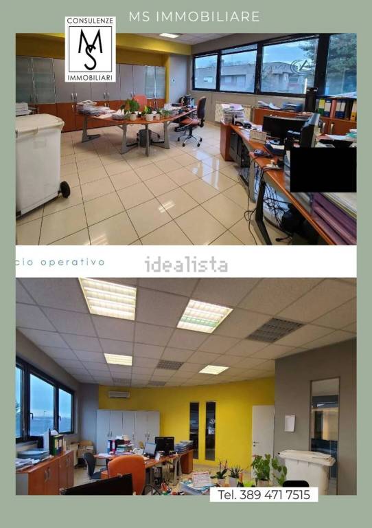 immagine annuncio 3 di 11