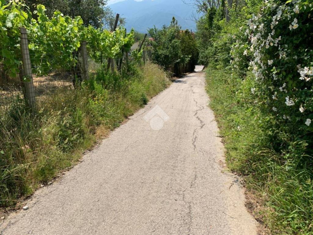 immagine annuncio 2 di 6