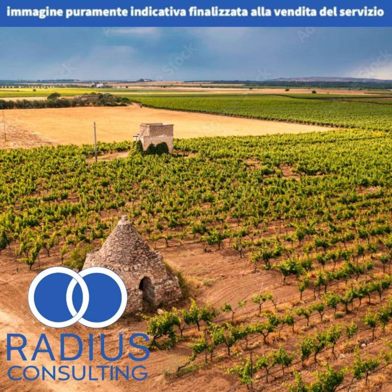 immagine annuncio 10 di 12