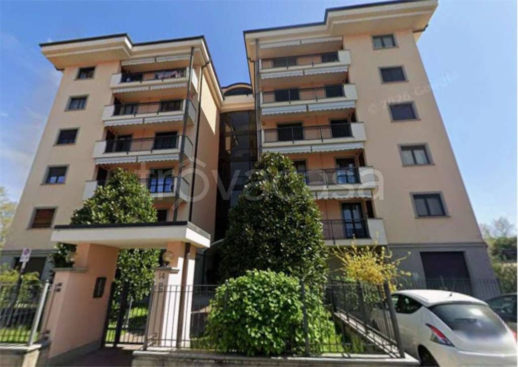 immagine annuncio 5 di 11