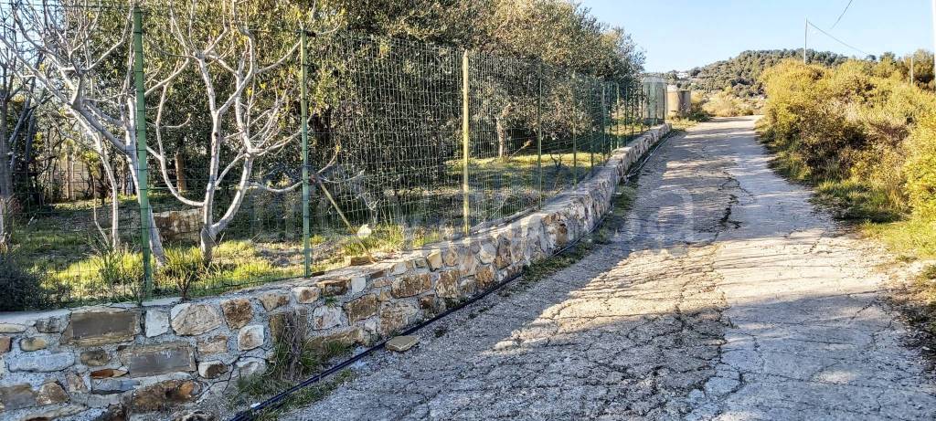 immagine annuncio 6 di 9