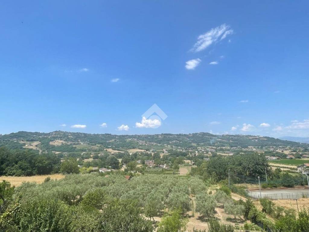 immagine annuncio 12 di 13