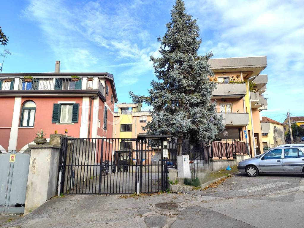 immagine annuncio 14 di 15