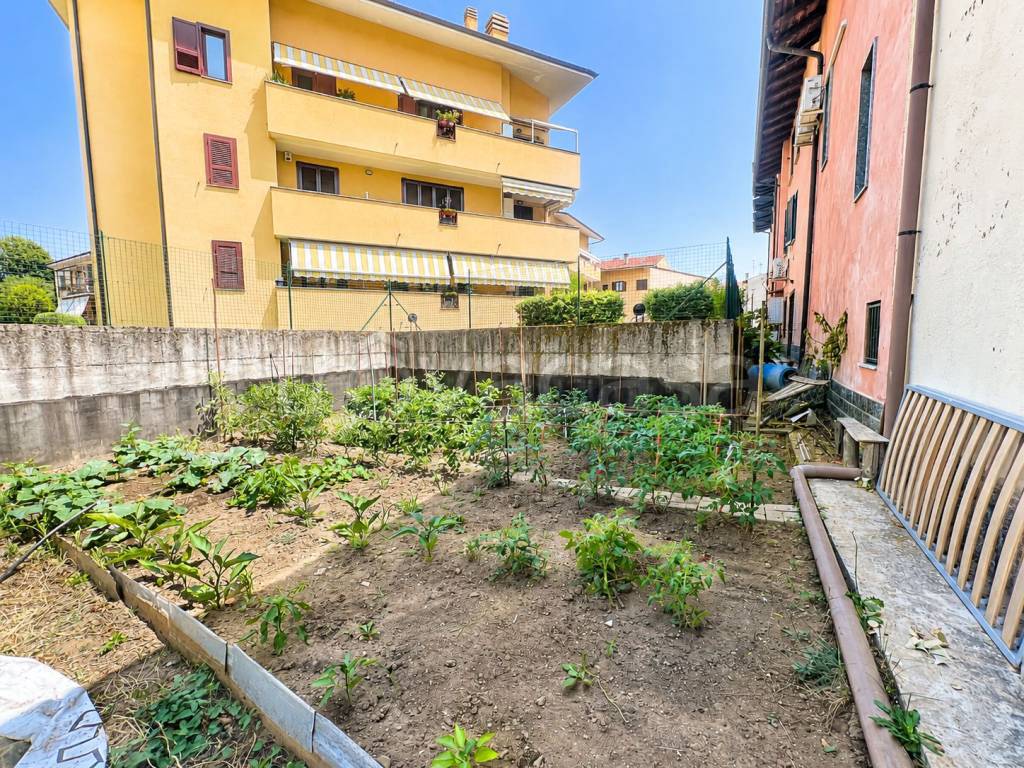 immagine annuncio 9 di 12