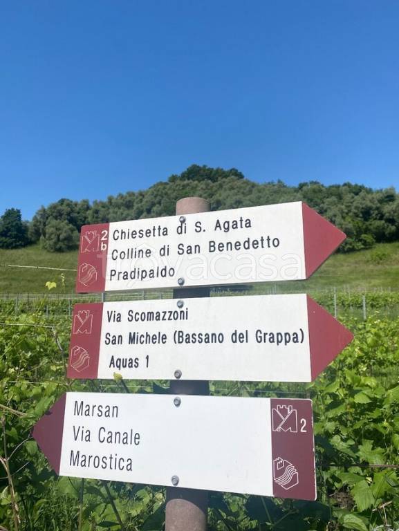 immagine annuncio 5 di 12