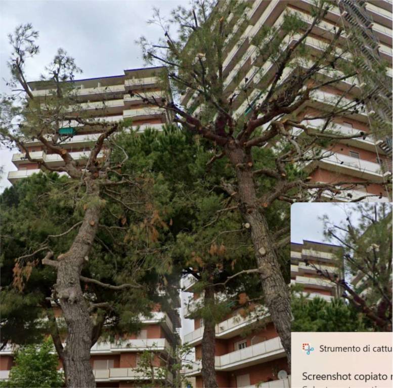 immagine annuncio 9 di 13