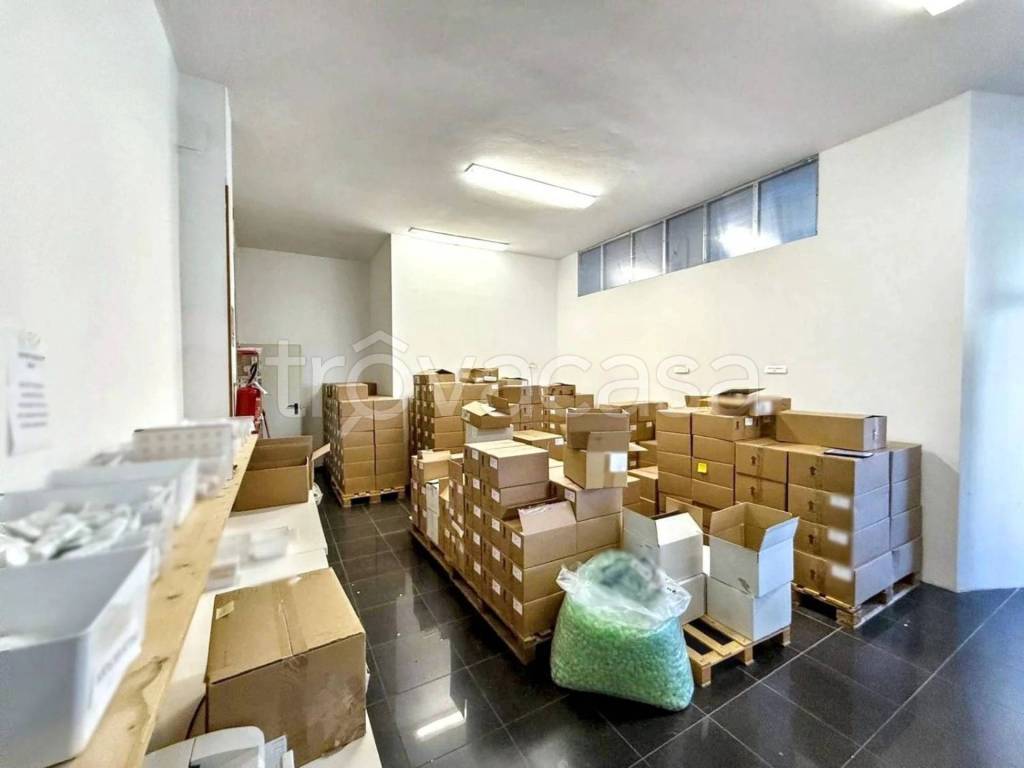 immagine annuncio 7 di 12