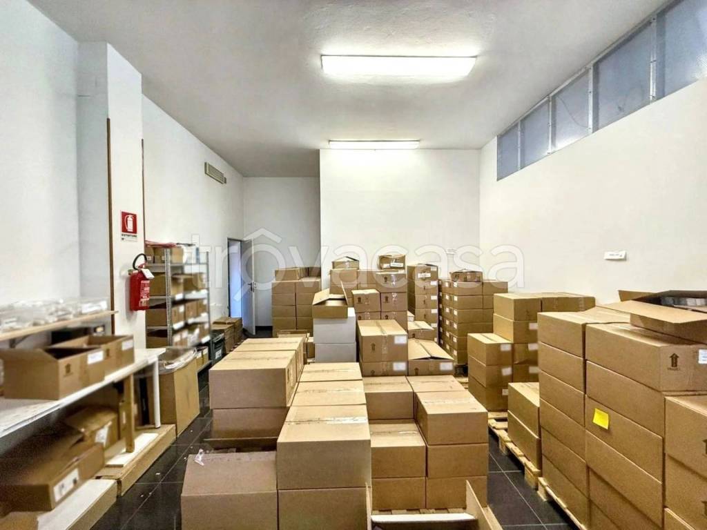 immagine annuncio 8 di 12