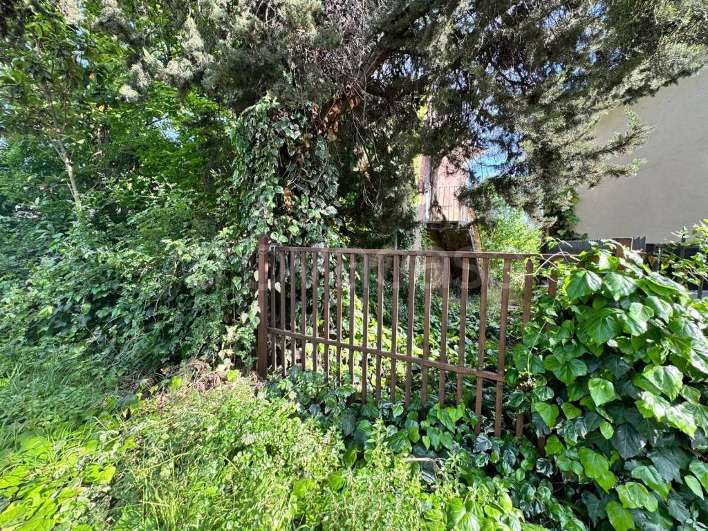 immagine annuncio 8 di 14