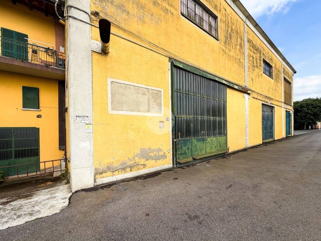 immagine annuncio 14 di 15