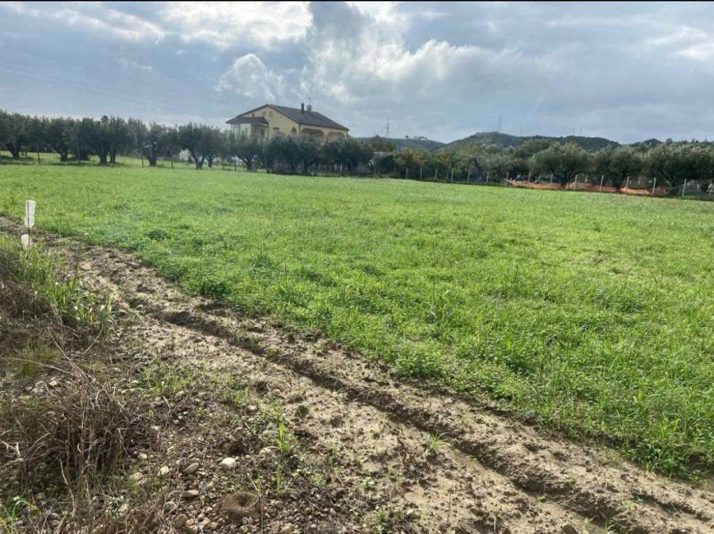 immagine annuncio 6 di 7
